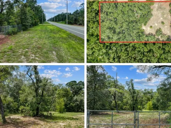 0 NE Highway 349, Old Town, FL 32680