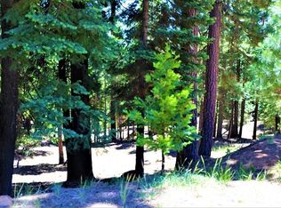 119 Top Of The West Dr, Chester, CA 96020