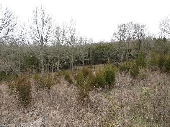 5th image of 3519 Hartsville Pike