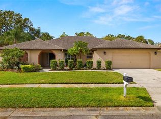 14116 Hollingfare Pl, Tampa, FL 33624
