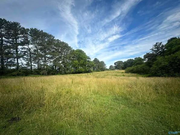 Oak Grove Rd, Albertville, AL 35951