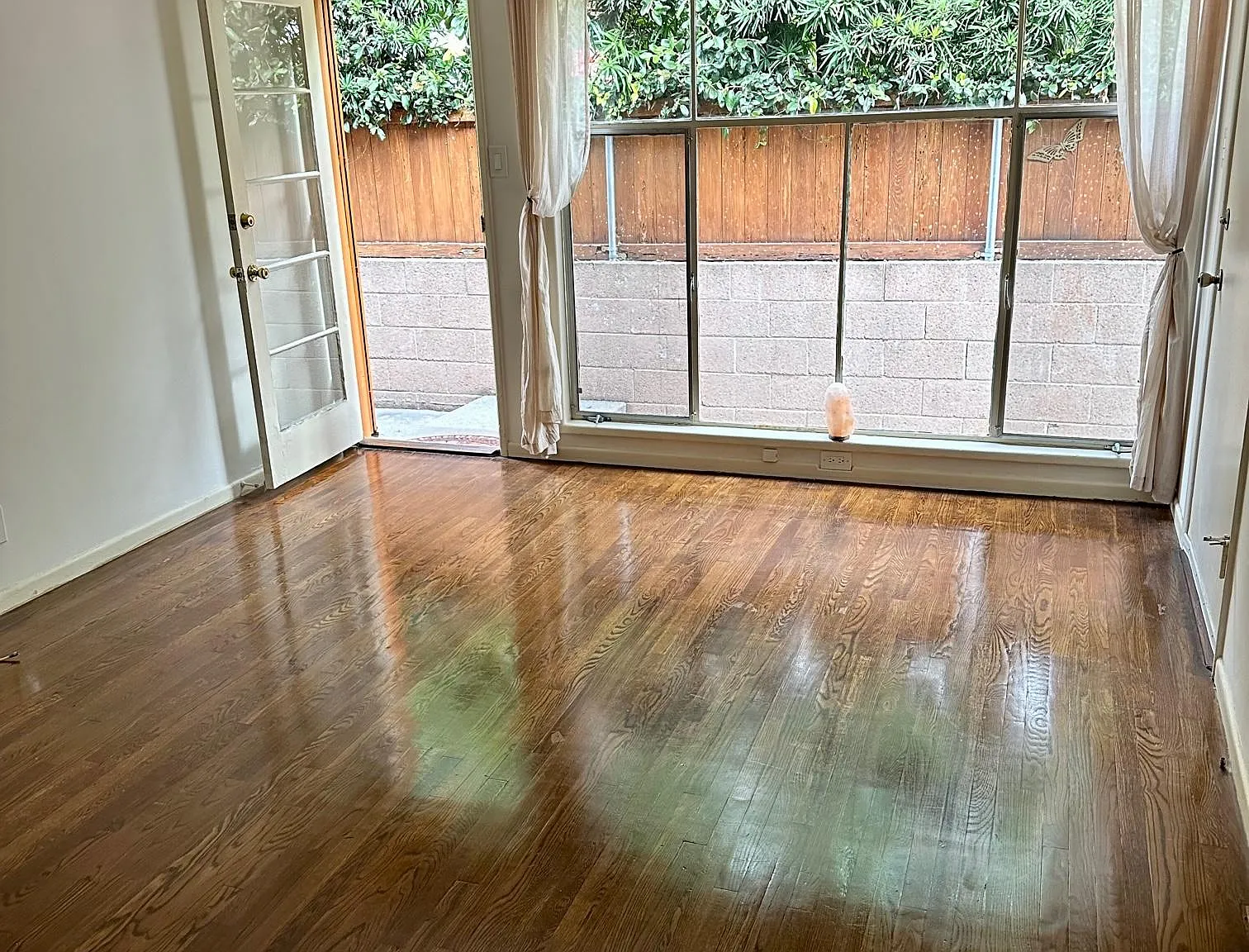 1167 Nelrose Ave — Photo 3