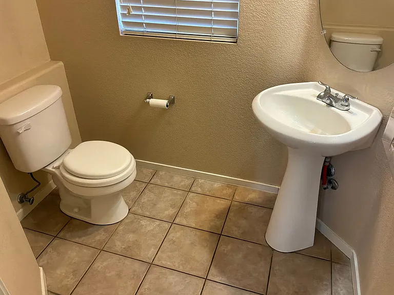 10115 Lemon Thyme St — Photo 48