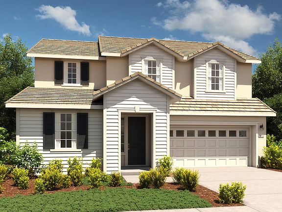 Elderberry Traditional