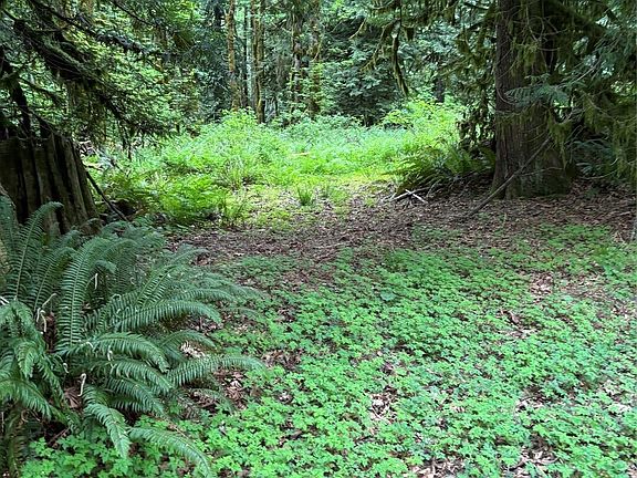 5th image of 0 Upper Frost Creek Road