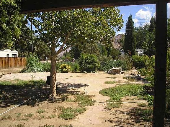 Large backyard