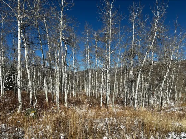 26780 Willow Gulch Dr, Clark, CO 80428