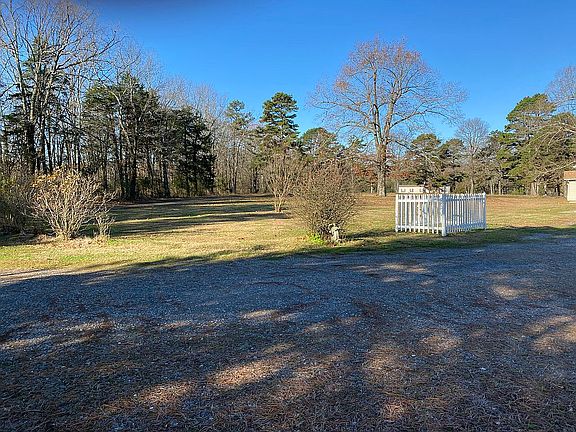 Flowering Quince, rose fence