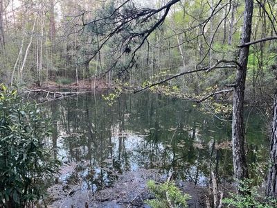 Highway 84 W, Frisco City, AL, 36445