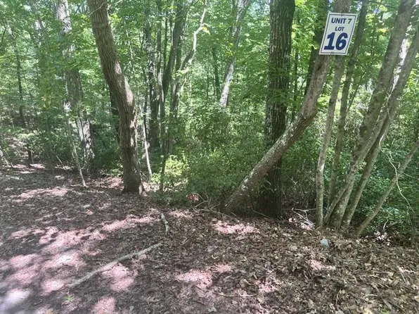 16 S Dogwood Cir, Hayesville, NC 28904