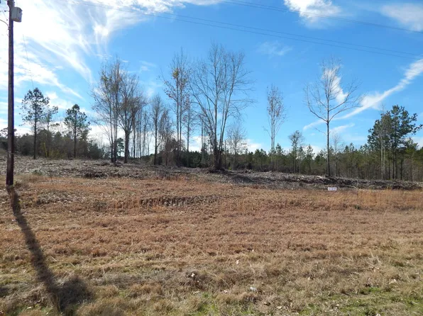 0 Little Flock Rd Tract 1, Many, LA 71449
