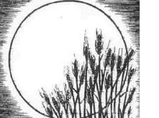 500 S Prince William Rd, Rossville, IN 46065