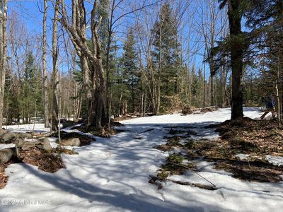 L17 Bingo Town Road, Saint Regis Falls, NY, 12980