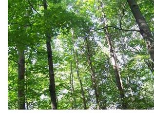 181 Broad Hill Rd, West Granby, CT 06090