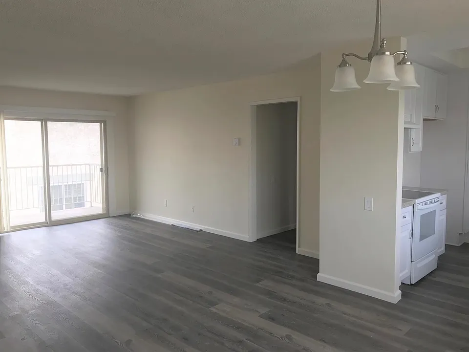 Living Room & Kitchen (from dining room)