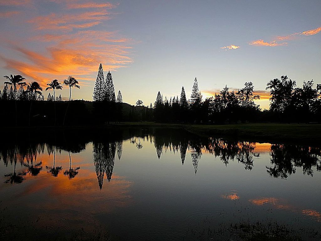 57101 Kuilima Dr APT 87, Kahuku, HI 96731 Zillow