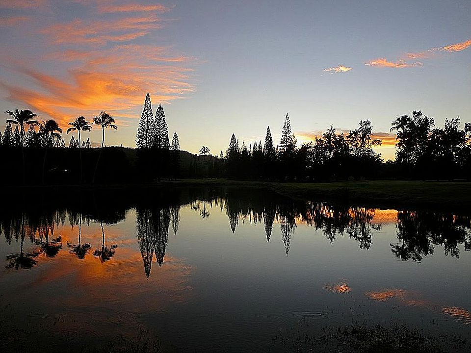 View of Pond from Living Roo
