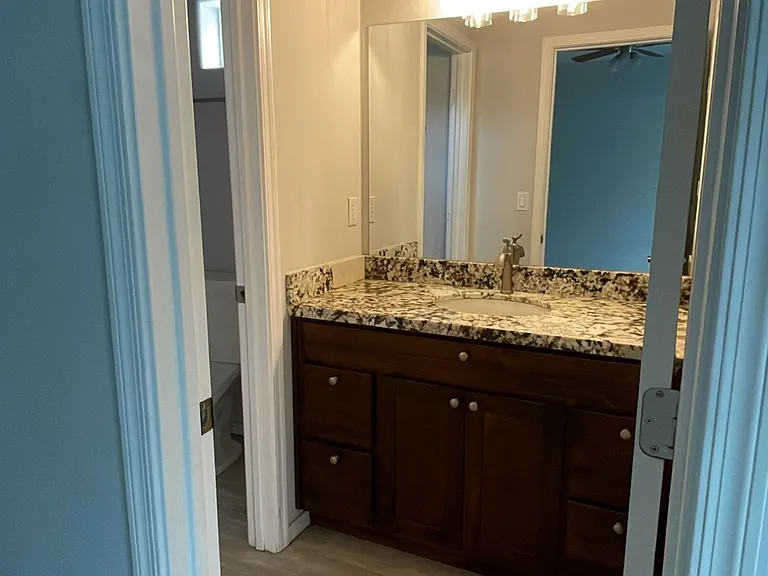 Primary Bathroom Vanity