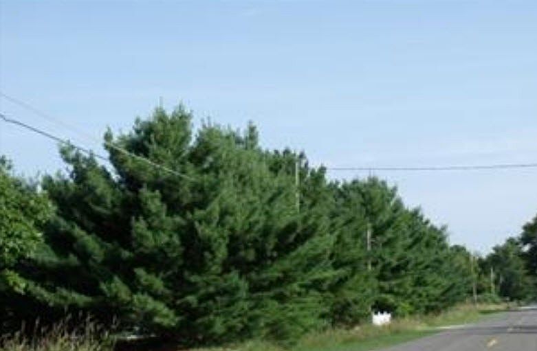 2nd image of 3687 Automobile Rd