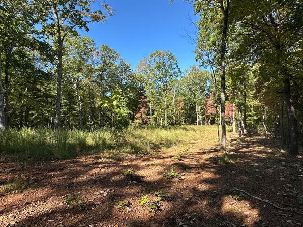 0 Timber Run Dr, Woolwine, VA 24185