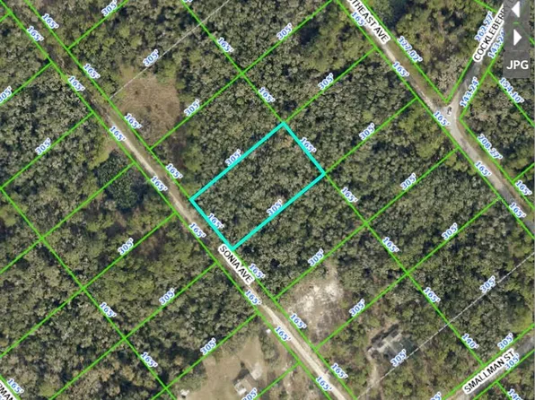 7252 Sonia Ave #15, Webster, FL 33597