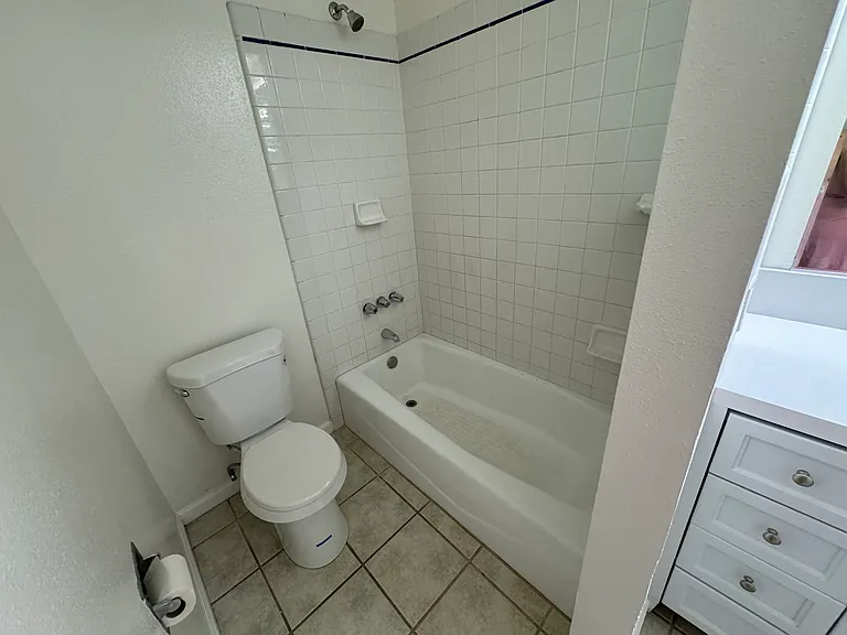 Toilet and shower/tub combo