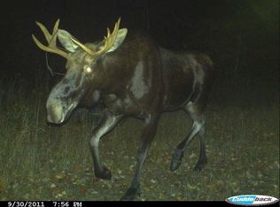 On Pergande Rd, Monico, WI 54501