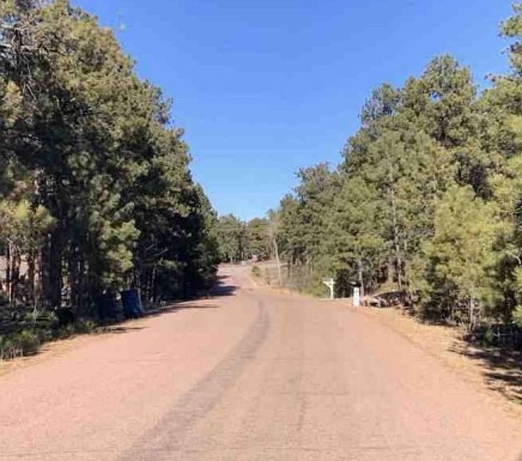 Exterior Neighborhood (street photo)