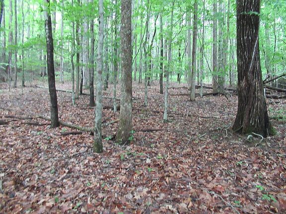 3rd image of 0 Hickory Gap Rd