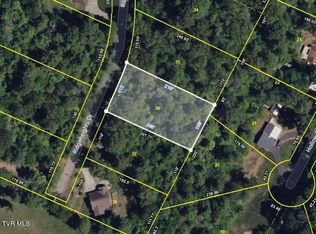 Ridgeheights Dr, Johnson City, TN 37615