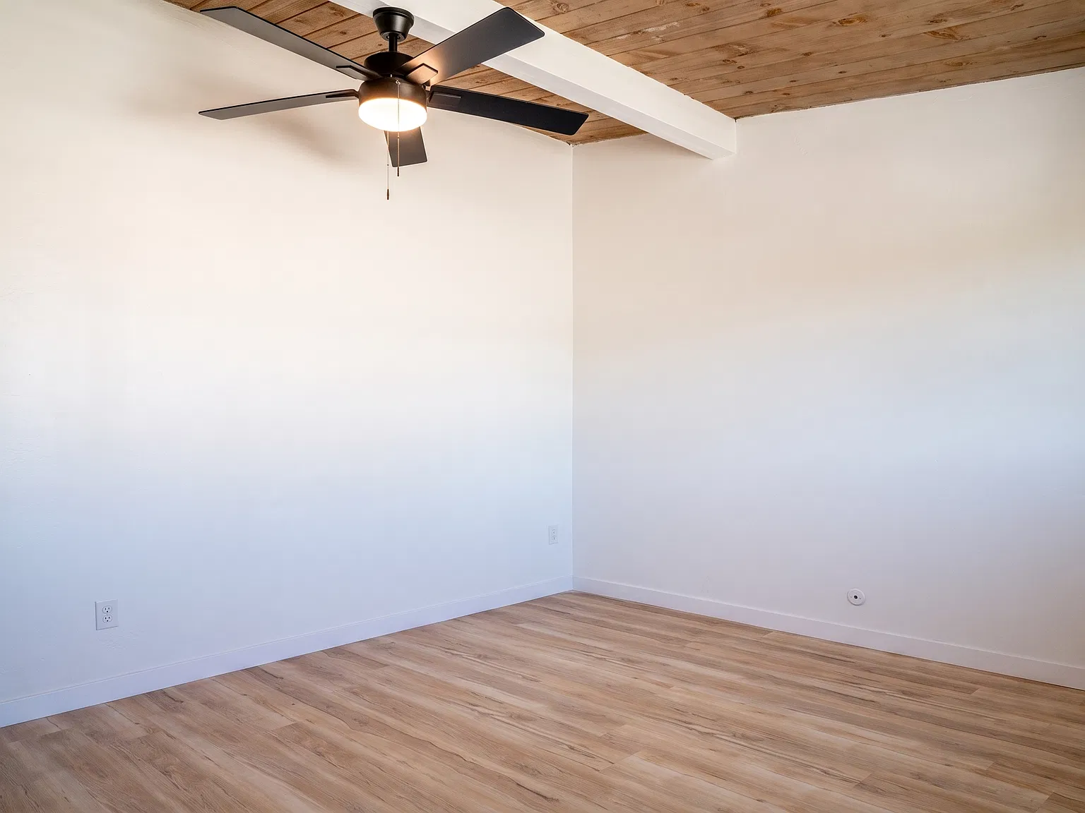 1 bed, 725 sqft, $2,600 — Photo 2