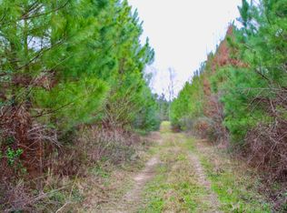 Highway 44 Lot Wp001, Ruth, MS 39662