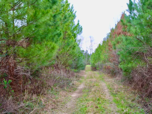 Highway 44 Lot Wp001, Ruth, MS 39662