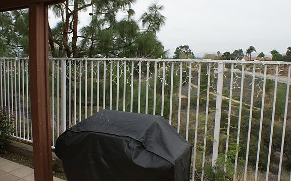 outdoor back yard view