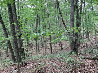 Vale Vista Dr, Edinburg, VA 22824