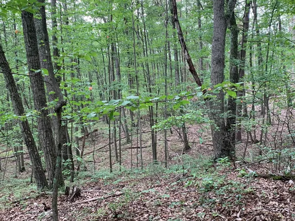 Vale Vista Dr, Edinburg, VA 22824