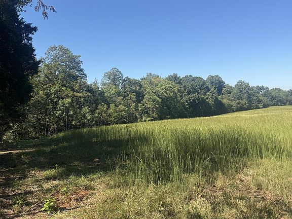 3rd image of 0 Radford Lake Rd