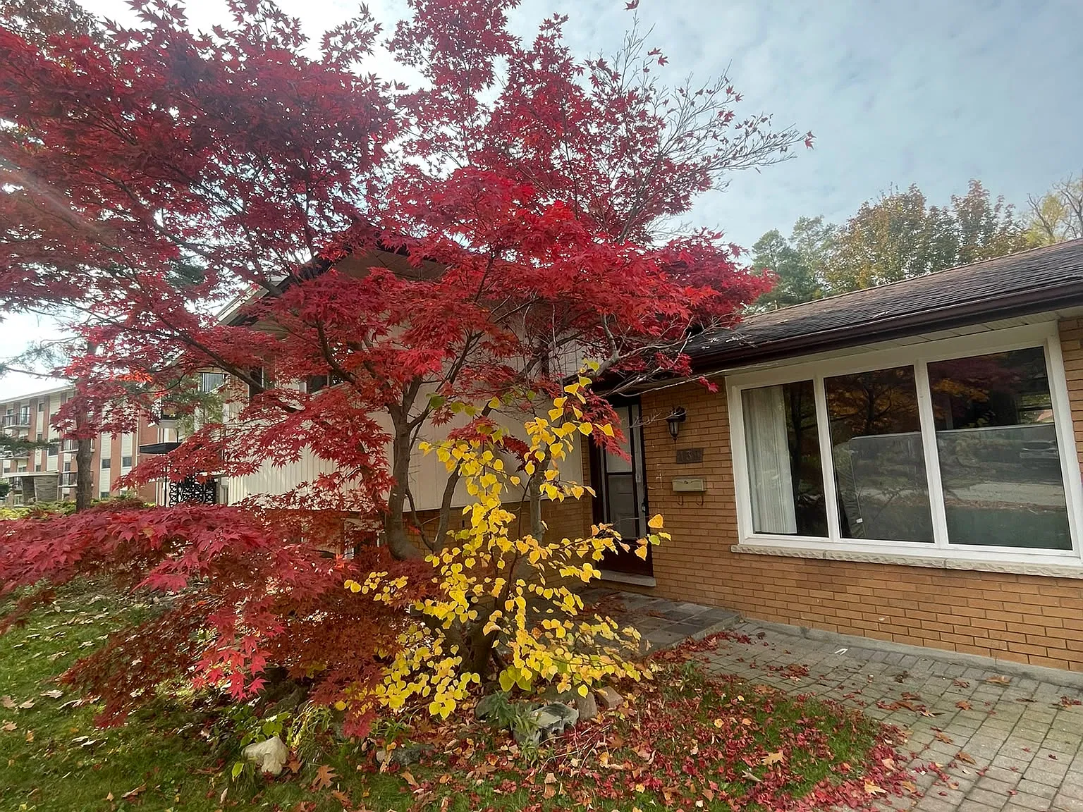 3 bed, 1100 sqft, $2,400 — Photo 1