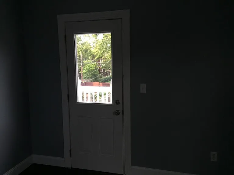 804 Carpenter St — Photo 14