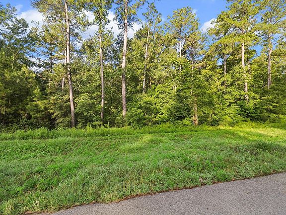 4th image of 0 Sandpiper Dr Lot 2.25