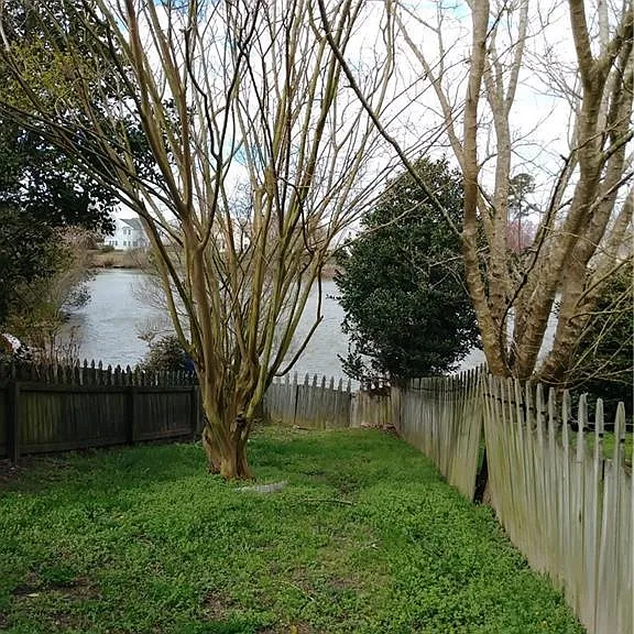 1167 Killington Arch — Photo 2