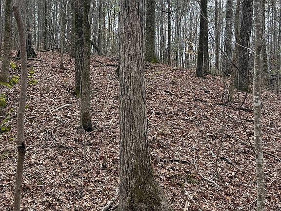 4th image of 564 Macedonia Rd