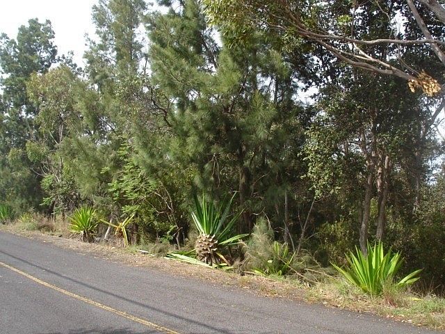 2nd image of Catamaran Ln Lot 24