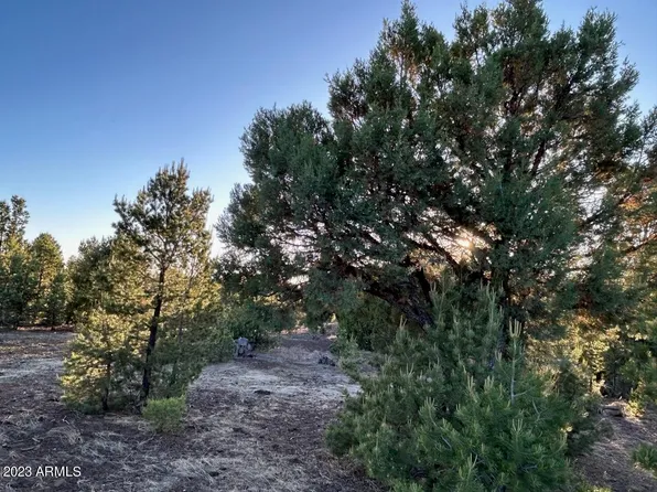 lot 26 Uphill Trail #26, Vernon, AZ 85940