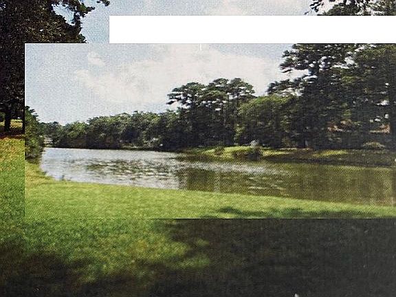 5th image of 36 Peninsula Dr