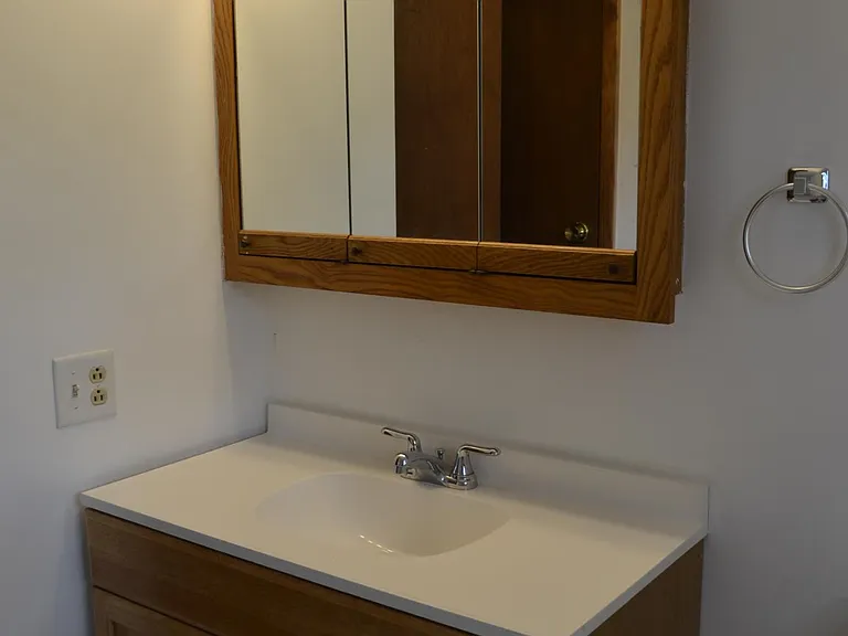 Vanity and medicine cabinet.