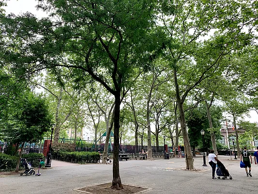 Rented by Alpha Properties NYC I LLC | media 2