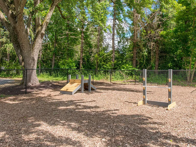 Let your furry friend roam free in our lively dog park with agility obstacles. College living just got better for you and your pet.