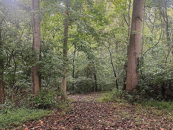 2nd image of 4326 Sharmans Run
