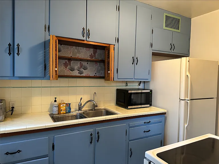 754 N Palo Verde Blvd #754 — Photo 3
